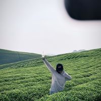 FUJIFILM｜手机如何调出富士胶片