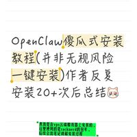 OpenClaw新手安装教程(vps部署)-下