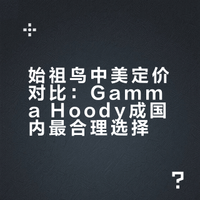 始祖鸟Gamma Hoody是国内定价最合理的一件