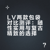 LV这两款都放着看一般，背起来就好看绝了❗️
