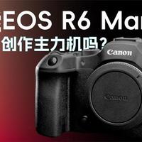 佳能EOS R6 Mark III能作为创作主力机吗？