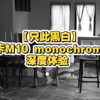 【只此黑白】徕卡M10 Monochrome 深度体验，出片真有那么神？推荐购买吗？搭配什么镜头合适？