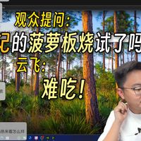 【极客湾】观众提问：M记的菠萝板烧试了吗？期待飞哥麦当劳横评和飘哥兰州牛牛肉面横评。