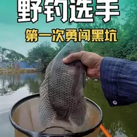 野钓方法挑战黑坑：第一毛饵料能否上鱼？