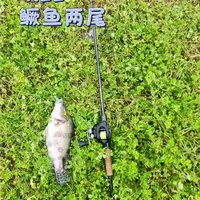 路亚鳜鱼实战：5.3厘米T尾搭配5克铅头钩的应用分析
