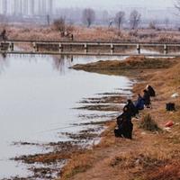 大师打死不说的通杀饵料！新手10元就能钓，最后一个太狠了