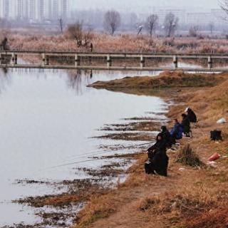 大师打死不说的通杀饵料！新手10元就能钓，最后一个太狠了