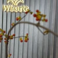 上海婚礼西装定制之旅圆满结束