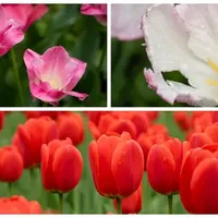 小试适马20200: 真香