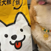 狗狗挑食不吃狗粮怎么办？诚实一口和百利怎么选？希喂狗粮测评
