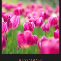 试一试你的屏幕支持HDR吗