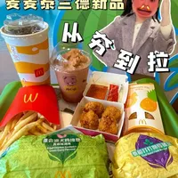 麦当劳泰兰德新品测评：打抛猪肉堡、青咖喱鸡排与双拼派口感解析