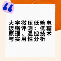 大宇微压低糖电饭锅评测：低糖原理、温控技术与实用性分析