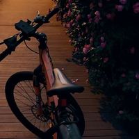 城市骑行🚴‍♀️座驾。