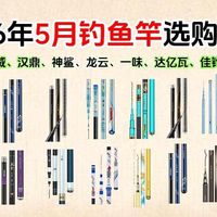 【新手入门】2026年5月必买比鱼竿选购指南 | 从百元入门到进阶高端，纠结选综合竿还是大物竿？光威、汉鼎、神鲨、龙云、一味、达亿瓦、佳钓尼等品牌推荐