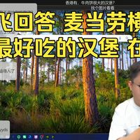 云飞回答麦当劳横评 最好吃的汉堡 安格斯汉堡不够油脂香很科技 吉士汉堡很普通