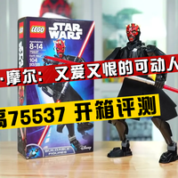 一个让粉丝又爱又恨的“可动人偶”