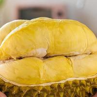 又到“榴莲季”，该怎么挑？哪个品种更好吃？今天全读懂，涨知识