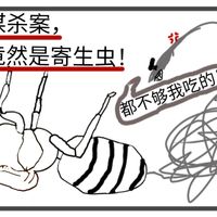 《慎入！蚂蚁体内钻出白色细虫，让我头皮发麻……》