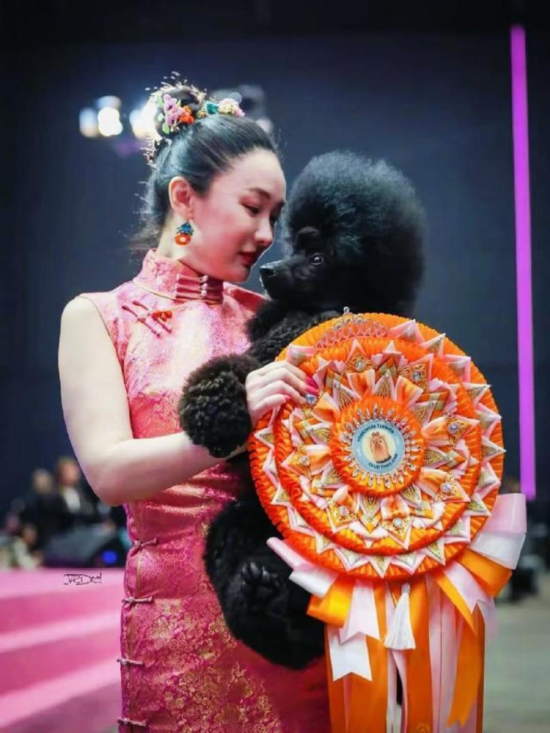 霍思燕淡出后考证建基地，带中国原生犬种站上世界之巅