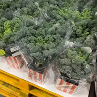 网红蔬菜价格大涨30倍 一经推出直接被抢空