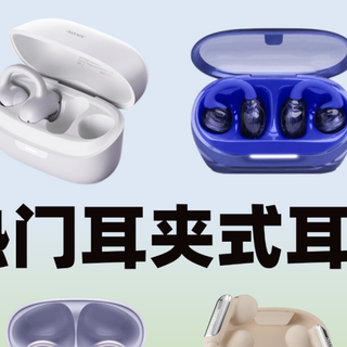 耳夹式蓝牙耳机推荐哪款？2026最好的耳夹式耳机排名前十