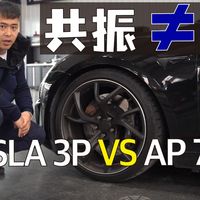 Model 3P用7269震到没脾气，原因何在？