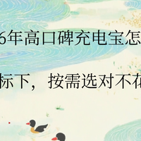 2026年高口碑充电宝怎么选？新国标下，按需选对不花冤枉钱