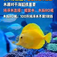 海缸新手避坑指南：90%翻缸源于第一步，RO机成本与核心六步详解