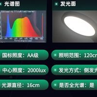 儿童护眼灯真的护眼吗？专为孩子打造的2026年学生台灯十大牌子！