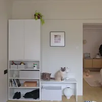 全屋没做定制柜 宜家哪里需要哪里搬