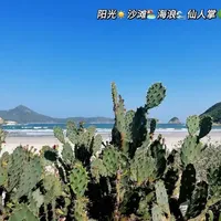 北京打工人挑战每周末出去玩（7/50）📍香港