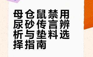 豆腐块、玉米砂、核桃砂这些农业废料更安全⁉️