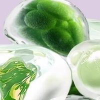 久坐不运动也能瘦！2026 十款减肥好物，减少体重负担无压力