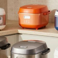 长青电饭锅哪个牌子质量好？传统老牌电饭煲排名前十名的品牌分享