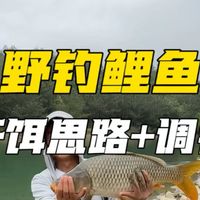 野钓鲤鱼这套饵料挺好，一直在用！