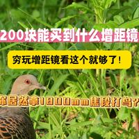 200块的增距镜/增距镜到底好不好用？一个视频讲清楚增距镜的优缺点。