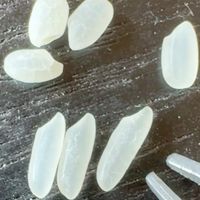 谁的大米是真的？我从网上直播间买大米，结果惊呆了！路遥知马力，日久见人心，粉丝是你的衣食父母，不是你牟利的工具，人品如货品