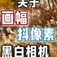 全画幅与半画幅实拍对比：高像素与镜头素质的分辨率测试