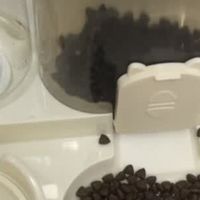 省心养猫神器｜疯狂的主人自动喂食器+猫咪饮水机实测