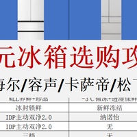 预算1万买冰箱,卡萨帝/松下/海尔/容声怎么选?硬核横评!