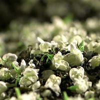 好喝的茉莉花茶推荐