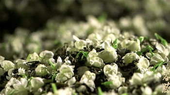 好喝的茉莉花茶推荐