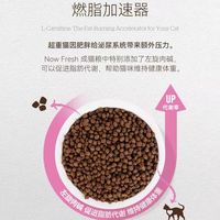NowFresh 成猫粮｜养宠家庭刚需！无谷鲜肉粮稳住猫咪状态