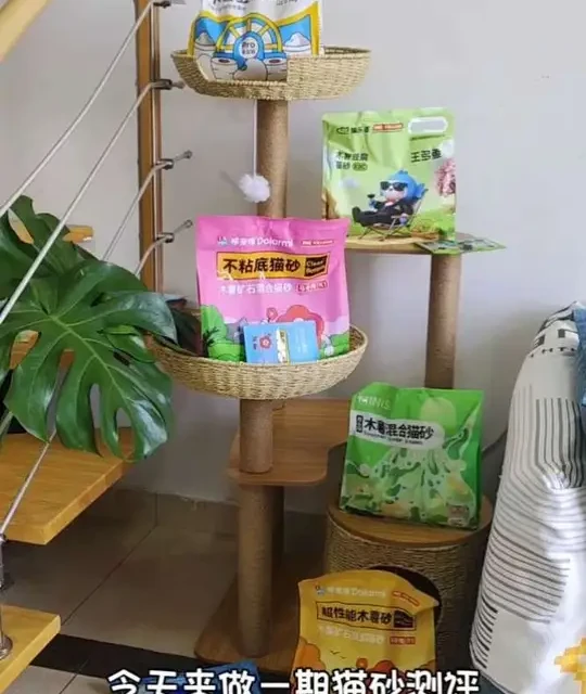6款木薯混合猫砂测评：成分配比与结团表现对比