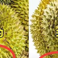 榴莲成熟季之避坑挑选攻略