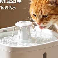 猫咪饮水机：懒人养宠新选择