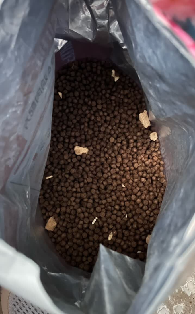 狼孩儿猫粮