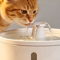 猫咪饮水机，轻松养宠必备