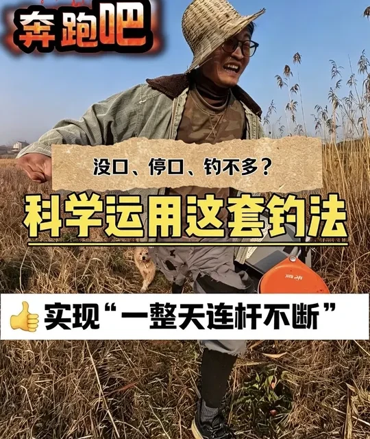 台钓与传统钓的科学融合：应对鱼情变化的全天连杆策略